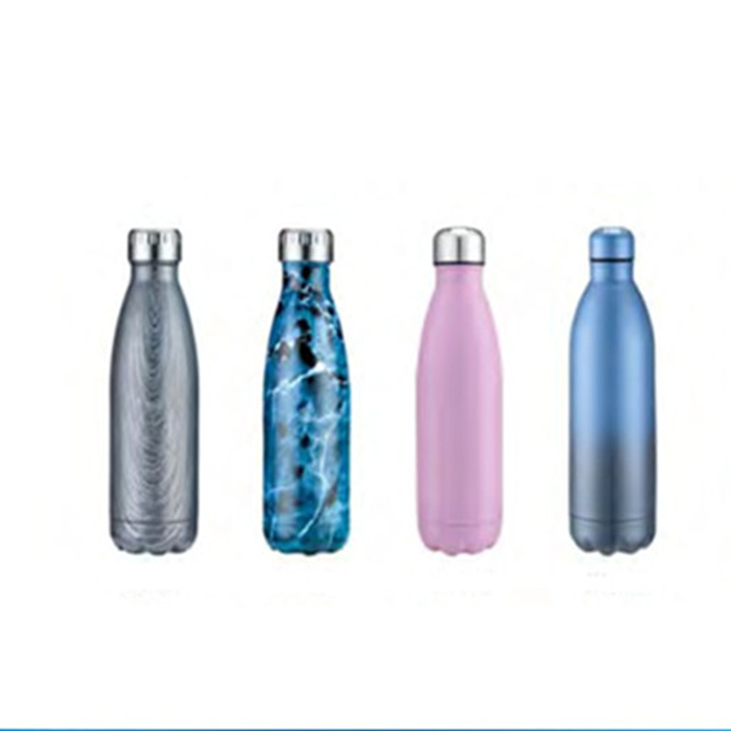 Stainless Steel Bottle