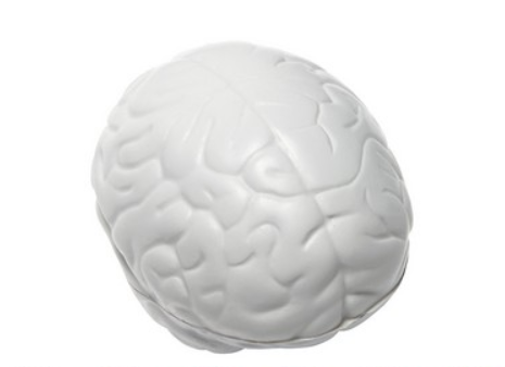 Brain Stress Ball