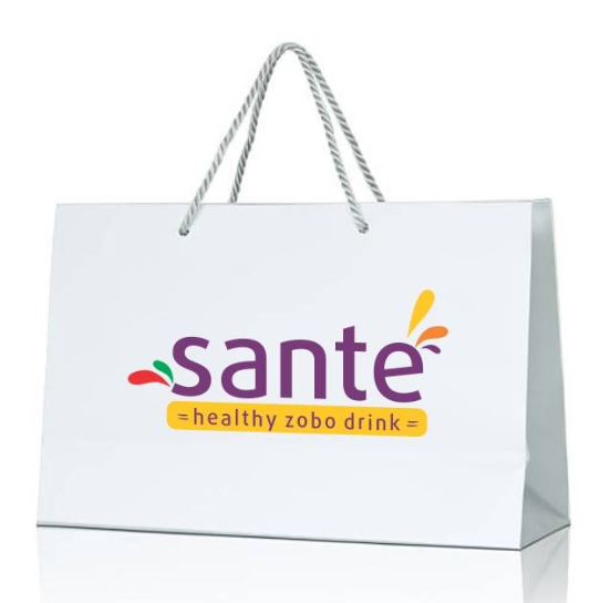 Promotional  kraft paper bag